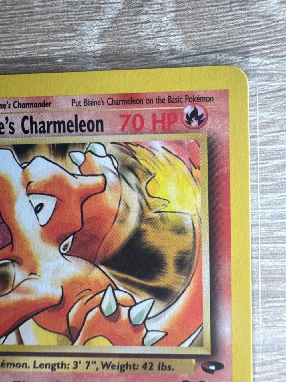 Blaine's Charmeleon #31/Pokemon Gym Challenge - Picture 4 of 11